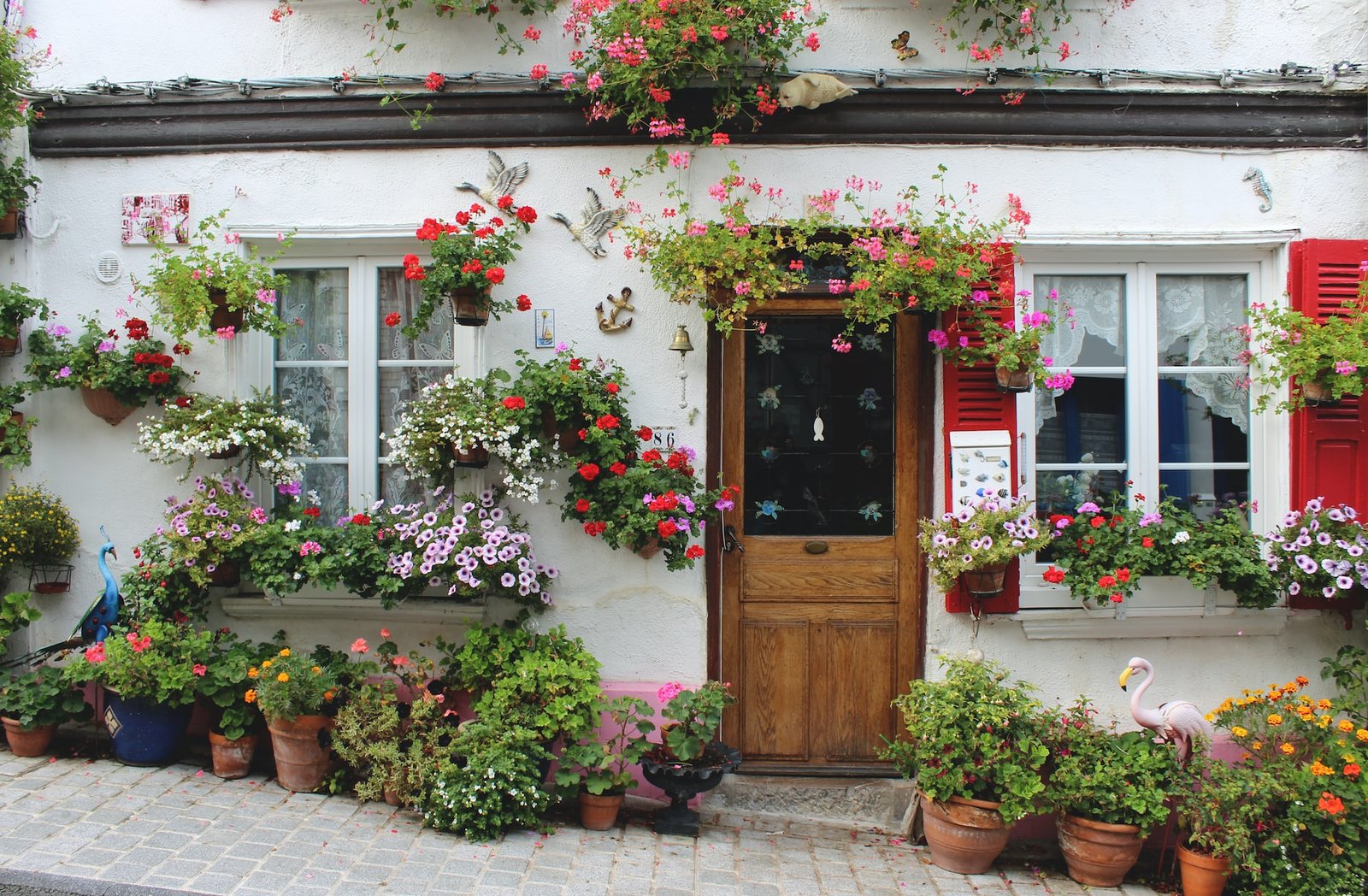 Vertical Garden