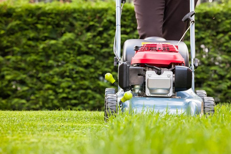 We can provide you with professional lawn care using state-of-the-art equipment, which is always maintained. We also provide fertilizing schedules and manicures with all types of grass.
