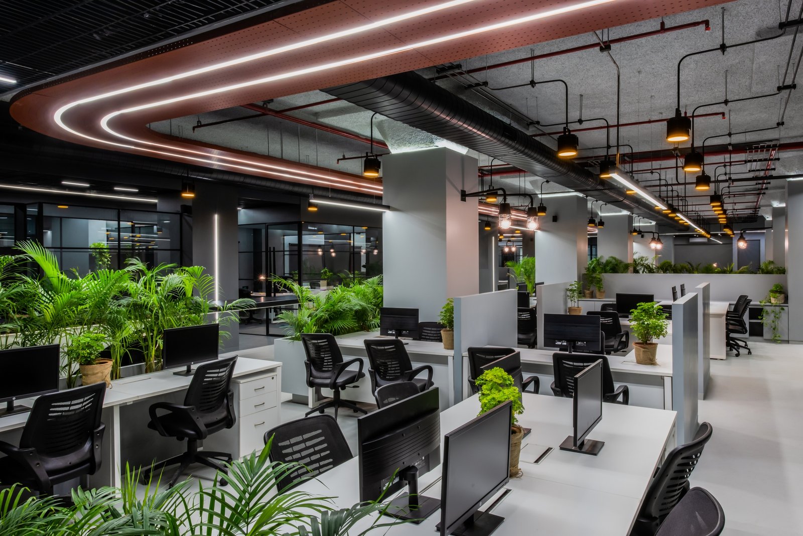 Research shows that the addition of even a handful of office plants can transform a workspace from ordinary to extraordinary. We at Greenlife enusure that we provide your great minds healthy and green space.