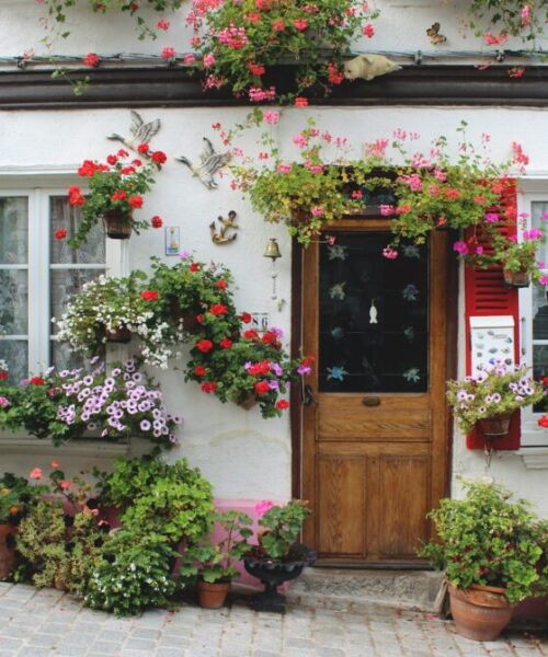 Vertical Garden