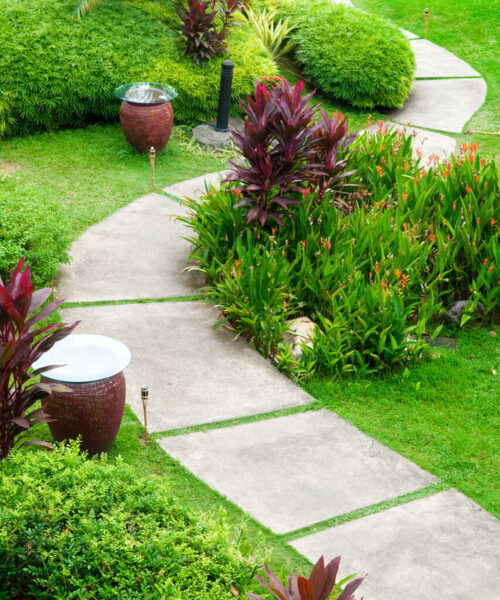 Landscaping - Garden