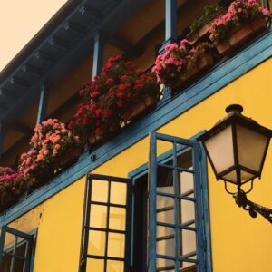 Balcony Garden