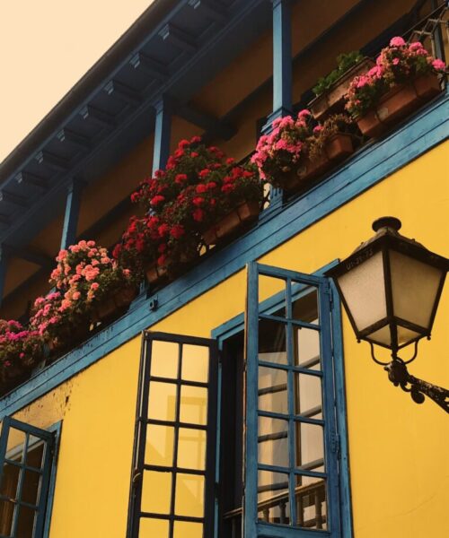 Balcony Garden