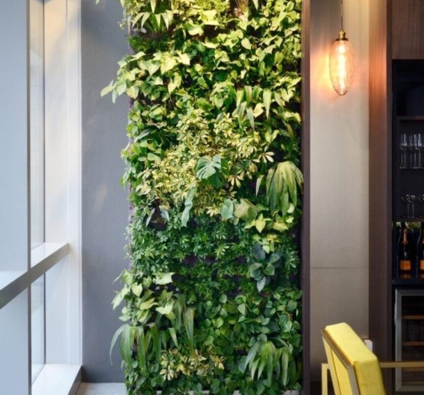 VERTICAL GARDEN 3