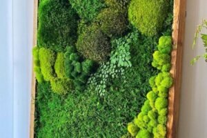 PRESERVED REINDEER MOSS BED (1)