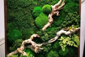 PRESERVED REINDEER MOSS BED 2 (1)