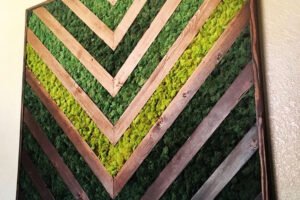 WOODEN NATURAL MOSS FRAME (2)