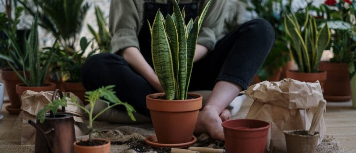 pexels-cottonbro-studio-4503261