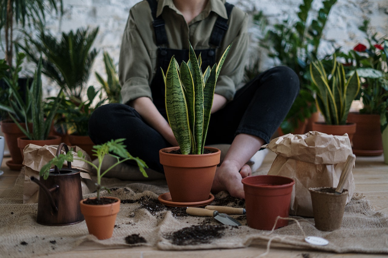 pexels-cottonbro-studio-4503261